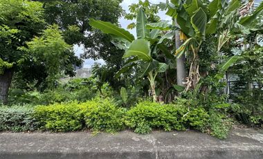 300 sqm 𝐋𝐎𝐓 𝐅𝐎𝐑 𝐒𝐀𝐋𝐄 at 𝐕𝐢𝐬𝐭𝐚𝐦𝐚𝐫