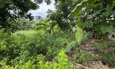 300 sqm 𝐋𝐎𝐓 𝐅𝐎𝐑 𝐒𝐀𝐋𝐄 at 𝐕𝐢𝐬𝐭𝐚𝐦𝐚𝐫