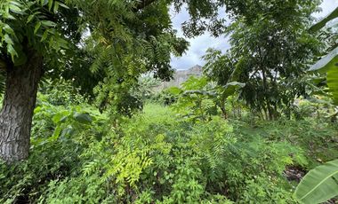 300 sqm 𝐋𝐎𝐓 𝐅𝐎𝐑 𝐒𝐀𝐋𝐄 at 𝐕𝐢𝐬𝐭𝐚𝐦𝐚𝐫