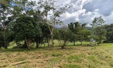 Splendido Tagaytay Lot for sale view of Taal lake and Golf course