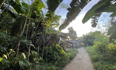 RUSH SALE – PRIME LOT IN OLINGAN, DIPOLOG CITY