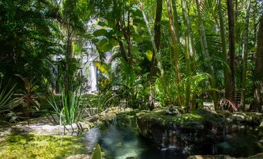 SELVAMAR HOUSE 4 BEDROOMS + STUDIO PLAYA DEL CARMEN , QUIET, NATURE