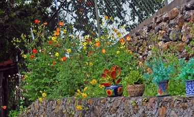 VENTA CASAS CON INCREÍBLE VISTA AL LAGO ZIRUAHUÉN EN COPÁNDARO CAS_5205 MOR/RS