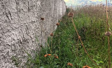 Venta de terreno en la ciudad de Ibarra