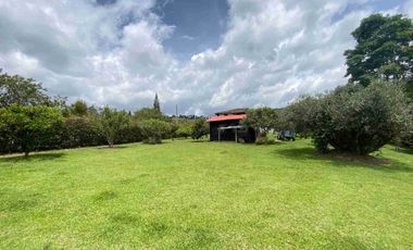 SE ARRIENDA FINCA EN EL TABLAZO. RIONEGRO