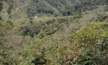 Venta Finca Ganadera y Agrícola Santo Domingo Antioquia