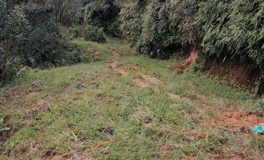 Venta Finca Ganadera y Agrícola Santo Domingo Antioquia