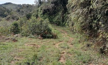 Venta Finca Ganadera y Agrícola Santo Domingo Antioquia
