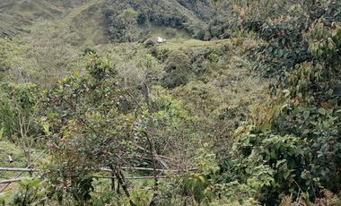 Venta Finca Ganadera y Agrícola Santo Domingo Antioquia