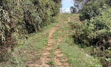 Venta Finca Ganadera y Agrícola Santo Domingo Antioquia