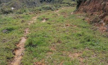 Venta Finca Ganadera y Agrícola Santo Domingo Antioquia