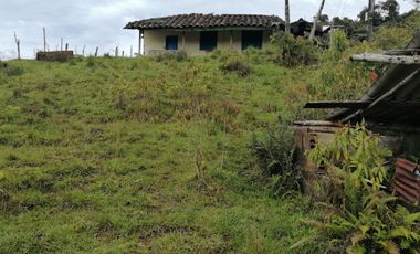 Venta Finca Ganadera y Agrícola Santo Domingo Antioquia