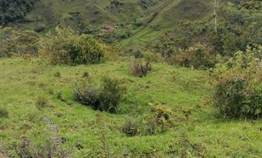 Venta Finca Ganadera y Agrícola Santo Domingo Antioquia