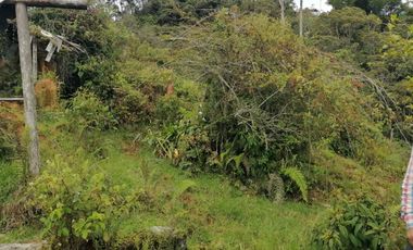 Venta Finca Ganadera y Agrícola Santo Domingo Antioquia