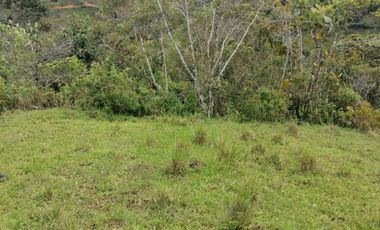 Venta Finca Ganadera y Agrícola Santo Domingo Antioquia