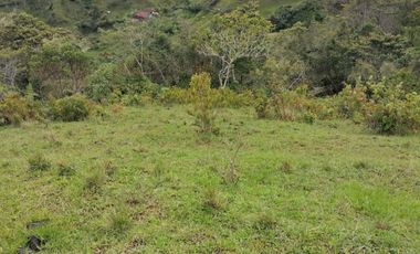Venta Finca Ganadera y Agrícola Santo Domingo Antioquia