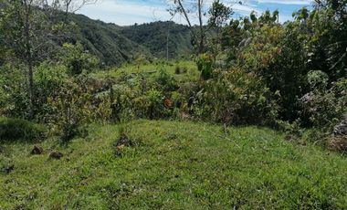 Venta Finca Ganadera y Agrícola Santo Domingo Antioquia