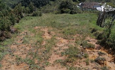 Venta Finca Ganadera y Agrícola Santo Domingo Antioquia