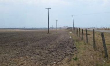 RANCHO GUADALUPE EN VENTA EN TLACHALOYA, EN EL ESTADO DE MÉXICO, km 7.5 Hacía el Pueblo Municipio de Toluca Edo Mex.