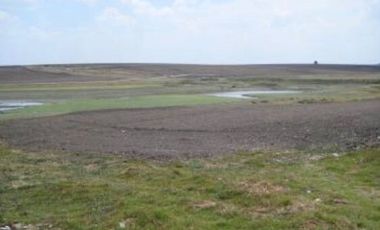 RANCHO GUADALUPE EN VENTA EN TLACHALOYA, EN EL ESTADO DE MÉXICO, km 7.5 Hacía el Pueblo Municipio de Toluca Edo Mex.