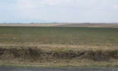 RANCHO GUADALUPE EN VENTA EN TLACHALOYA, EN EL ESTADO DE MÉXICO, km 7.5 Hacía el Pueblo Municipio de Toluca Edo Mex.