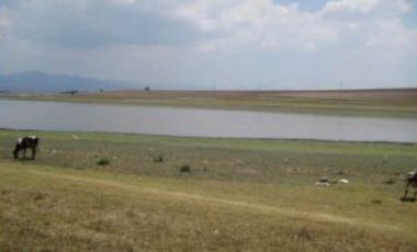 RANCHO GUADALUPE EN VENTA EN TLACHALOYA, EN EL ESTADO DE MÉXICO, km 7.5 Hacía el Pueblo Municipio de Toluca Edo Mex.