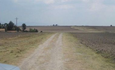 RANCHO GUADALUPE EN VENTA EN TLACHALOYA, EN EL ESTADO DE MÉXICO, km 7.5 Hacía el Pueblo Municipio de Toluca Edo Mex.