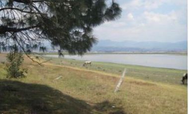 RANCHO GUADALUPE EN VENTA EN TLACHALOYA, EN EL ESTADO DE MÉXICO, km 7.5 Hacía el Pueblo Municipio de Toluca Edo Mex.