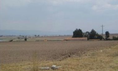 RANCHO GUADALUPE EN VENTA EN TLACHALOYA, EN EL ESTADO DE MÉXICO, km 7.5 Hacía el Pueblo Municipio de Toluca Edo Mex.