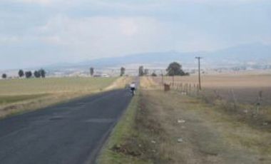 RANCHO GUADALUPE EN VENTA EN TLACHALOYA, EN EL ESTADO DE MÉXICO, km 7.5 Hacía el Pueblo Municipio de Toluca Edo Mex.