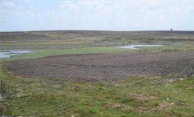 RANCHO GUADALUPE EN VENTA EN TLACHALOYA, EN EL ESTADO DE MÉXICO, km 7.5 Hacía el Pueblo Municipio de Toluca Edo Mex.