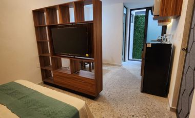Loft en Renta en la Chapultepec Sur, listo para estrenar!