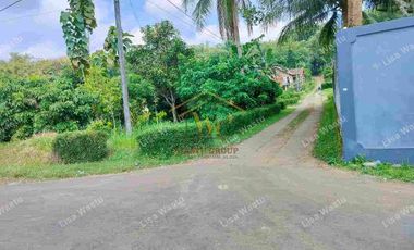 TANAH KAVLING MURAH 60JTAN SHM DI SALAMAN MAGELANG