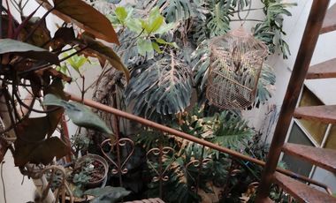 VENTA DE CASA AV. TEPOZANES