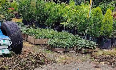 Terreno esquinero en venta, Avenida Mariano Acosta, Urbanización Almeida Galarraga