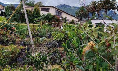 Terreno esquinero en venta, Avenida Mariano Acosta, Urbanización Almeida Galarraga