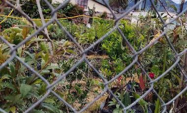 Terreno esquinero en venta, Avenida Mariano Acosta, Urbanización Almeida Galarraga