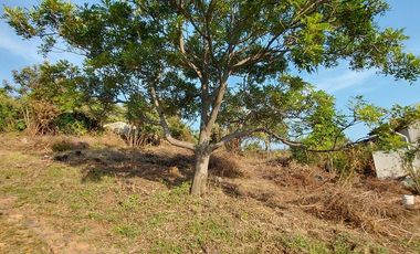 venta Terreno en Tepoztlan Chichco clima fresco