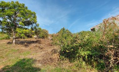 venta Terreno en Tepoztlan Chichco clima fresco