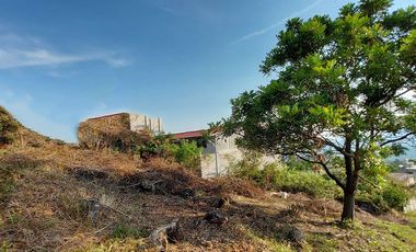 venta Terreno en Tepoztlan Chichco clima fresco