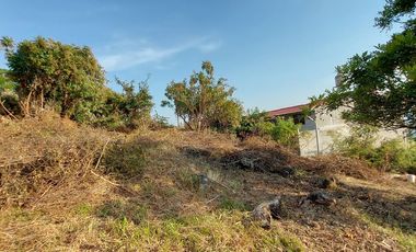 venta Terreno en Tepoztlan Chichco clima fresco