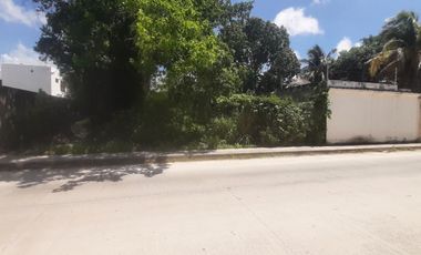 SE RENTA TERRENO EN AV FONATUR