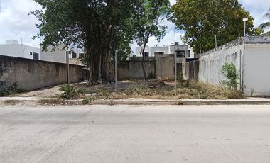SE RENTA TERRENO EN AV FONATUR