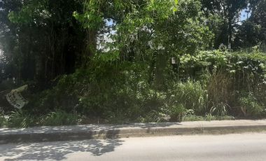 SE RENTA TERRENO EN AV FONATUR