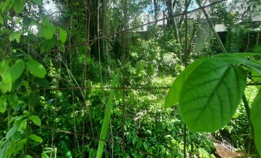SE RENTA TERRENO EN AV FONATUR