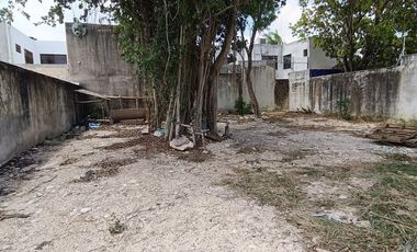 SE RENTA TERRENO EN AV FONATUR