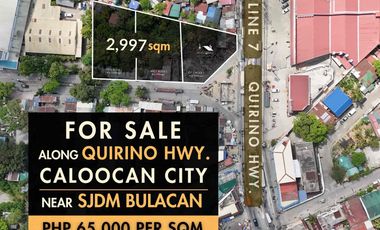 Quirino Highway Commercial Lot