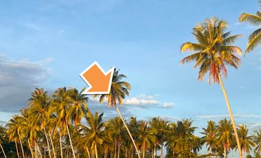 RESIDENTIAL LOT FOR SALE IN BRGY. NEW AGUTAYA SAN VICENTE PALAWAN