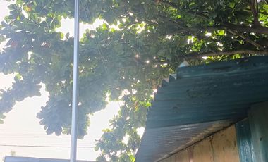 930 sqm Commercial Lot for sale in Babag Lapu Lapu