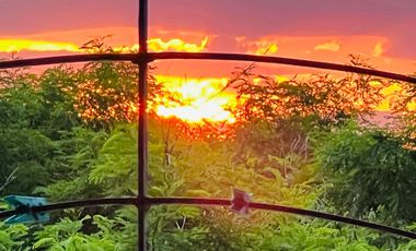 Casa en Venta, Esquina, Factibilidad Uso comercial, Centro, Linares, Nuevo León